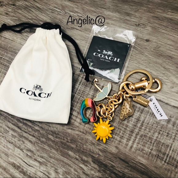 Coach ADDIE CROSSBODY and Rainbow Bag Charm - Picture 9 of 15